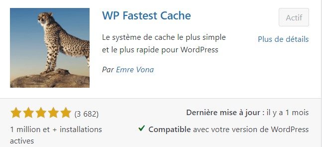 wp fastest cache plugin