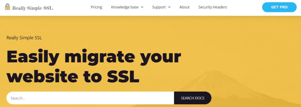 really simple ssl interface