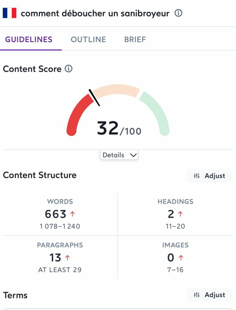 surferseo semantic optimization example