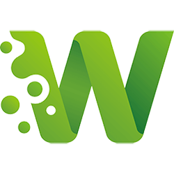 wpserveur logo