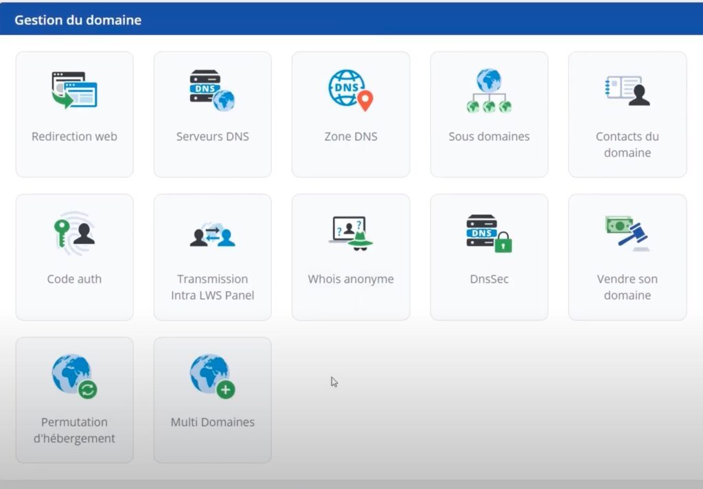 lws domain management