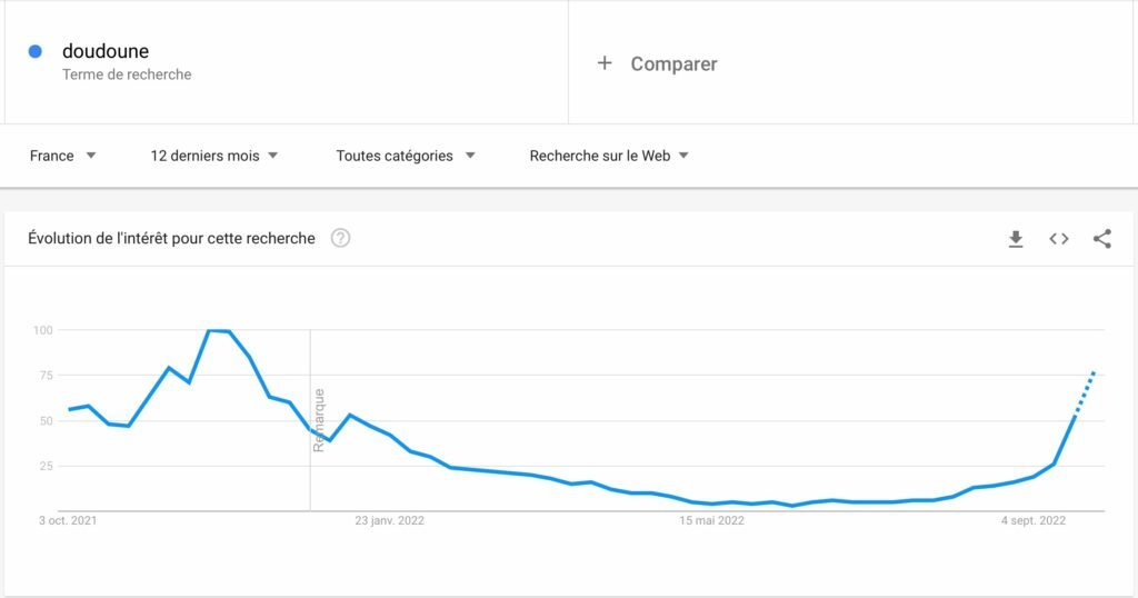 google trends down jacket