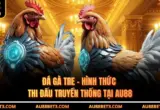 Đá Gà Tre - Hình Thức Thi Đấu Truyền Thống Tại AU88